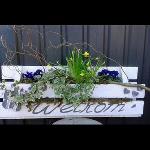 Vet Creatieve Workshops/Kwekerij logo