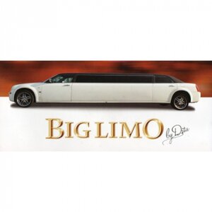 BigLimo by Dita logo