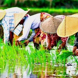 Van Verre Reizen B.V. image 2