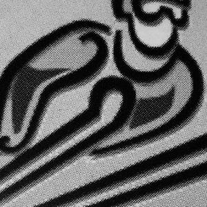 SD Skiverhuur image 1