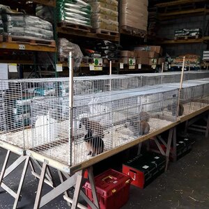 Agricentrum Van der Kroon B.V. image 2