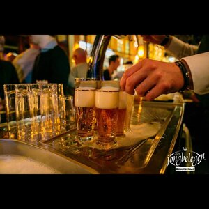 Cafe Jong belegen Alkmaar image 2