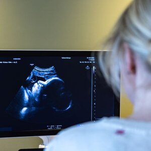 Het Geboortehuys image 6