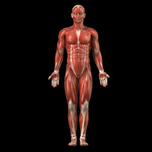 Vita Therapie image 2