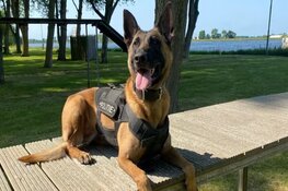 Aanhouding na vondst harddrugs door diensthond in Landsmeer