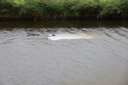 Auto te water bij Broek in Waterland: omstanders redden automobilist