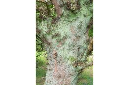 Jubileumexpositie Waterlandse kunstenaars