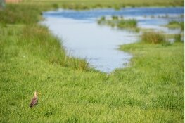 Start natuurherstel in Waterland-Oost