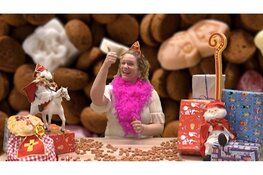 Het Monnickendammer Sinterklaasjournaal