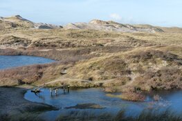 Provincie ontvangt ruim 90 miljoen voor natuurherstel