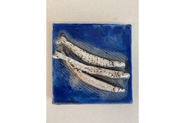 Waterlandse Kunstkring doet deze zomer voor het eerst mee aan de Monnickendammer Visdagen