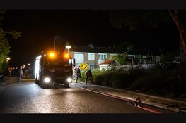 Buitenbrand in haag in Landsmeer op tijd in de kiem gesmoord