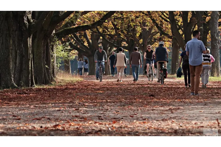 Overgang naar oktober verloopt met rustig herfstweer