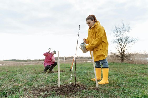 Leerlingen planten groen op Boomfeestdag in Waterland