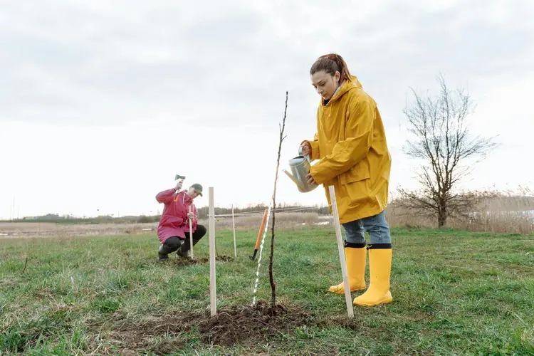 Leerlingen planten groen op Boomfeestdag in Waterland