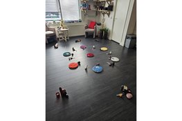 Het Quantum Leap opstellingswiel...