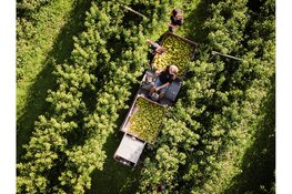 Zaanstreek-Waterland investeert in de toekomst van streekproductenbeleving