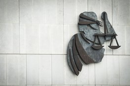 17 jaar celstraf en TBS met dwangverpleging geëist tegen man die zijn moeder doodde en haar onderbenen afzaagde