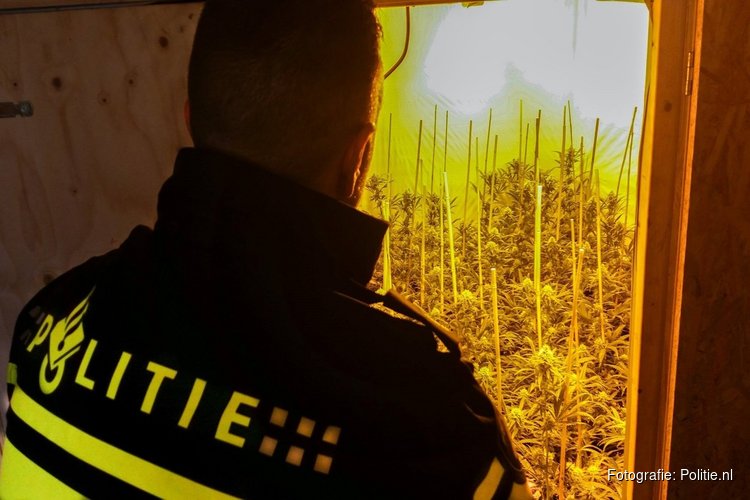 Hennepkwekerij ontdekt onder woning in Monnickendam