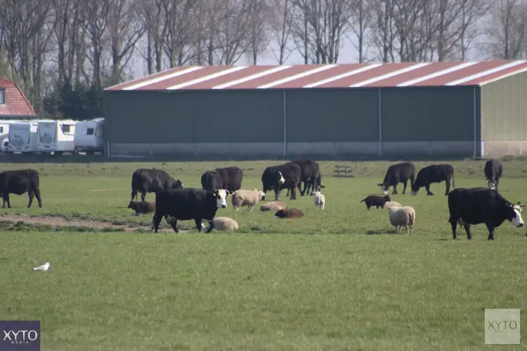 Landbouwportaal Noord-Holland open: vraag subsidie en advies aan