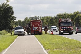 Brandweer redt paard uit sloot langs N235 bij Ilpendam