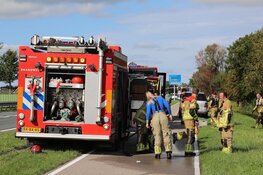 Brandweer redt paard uit sloot langs N235 bij Ilpendam