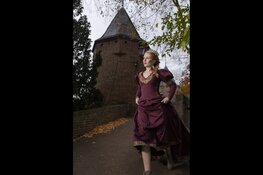 Prins Zes, een verdraaid sprookje