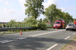 Boom op busbaan Watergang