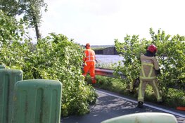 Boom op busbaan Watergang