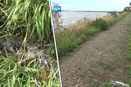 Inspecteurs Rijkswaterstaat ontdekken scheuren in dijken Marken