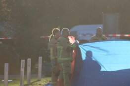 Voetgangster overleden na aanrijding met auto in Den Ilp