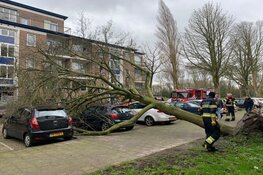 Zondagse storm Ciara houdt Nederland in greep (fotoalbum)