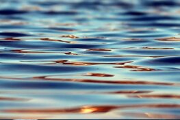 Vissen krijgen nieuw verblijf na verbouwing Noordersluis in Schardam