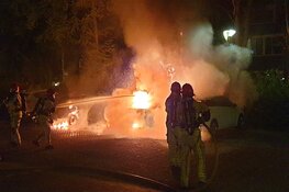 Ravage na brand in Oostzaan: vier auto's in de fik