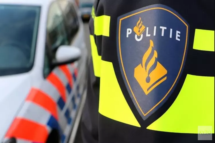 Tientallen nieuwe tips over dood Tamar na emotionele oproep moeder