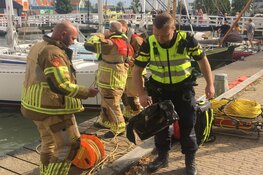 Auto te water Monnickendam