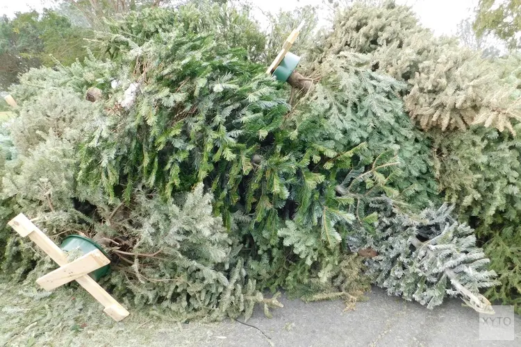 Kerstbomen inzameling 2021