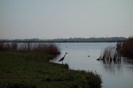 Het Fietsrondje van de maand februari is Amsterdam-Waterland