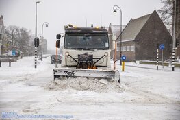 Winterse zondag in beeld