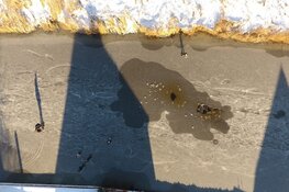 Schaatspret op de Ringvaart in Oostzaan