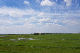 Provincie praat met grondeigenaren Waterland-Oost over advies natuurontwikkeling