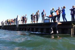 10e editie ‘Rondje Pampus’: Zwemmen voor de vogels in de Lepelaarplassen