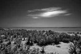 Crowdfundingsactie gestart voor uniek fotoboek IJsselmeer
