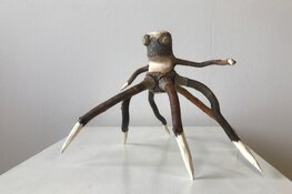 Honderden insecten op Biennale Waterlandse Kunstkring