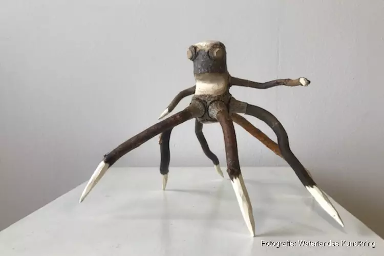 Honderden insecten op Biennale Waterlandse Kunstkring