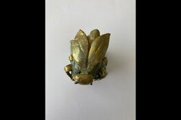 Honderden insecten op Biennale Waterlandse Kunstkring