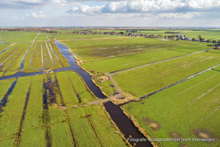 ACTIVITEIT: Varkensland van dorp naar dorp