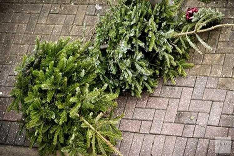 Kerstbomeninzameling 2023