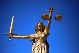 OM eist gevangenisstraffen tegen broer en zus vanwege belastingfraude