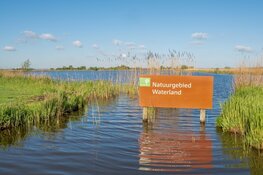 Activiteit: Vogels van Waterland - Vaartocht